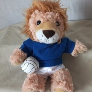 RAZZLE LION VOLLEYBALL