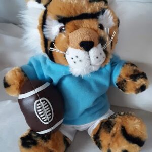 NEWT TIGER FOOTBALL