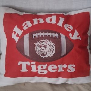 CUSTOM PRINT YOUR SPORTS PILLOWS