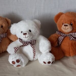 EDDY BEAR
