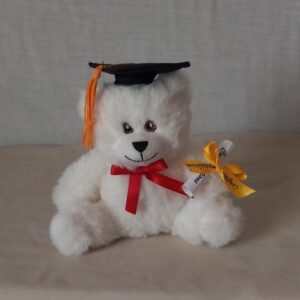NEW SMALL SITTING GRAD BEAR