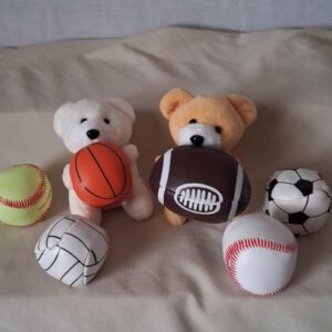 KC MINI SPORTS BEAR